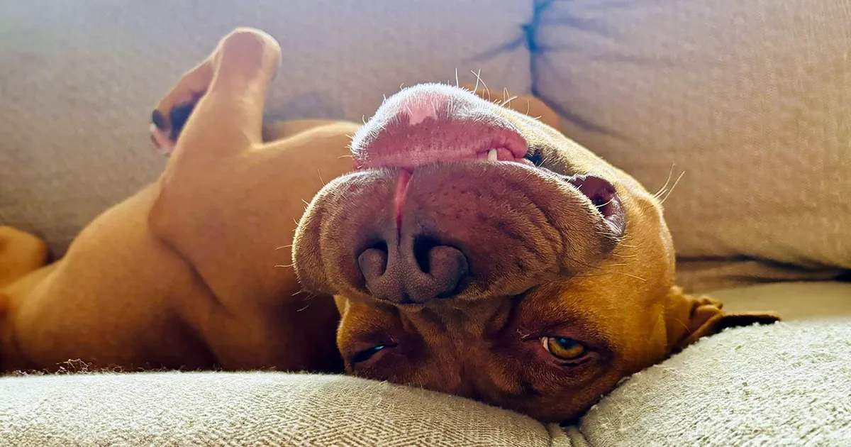 Upside down